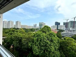 bishan-green photo thumbnail #5